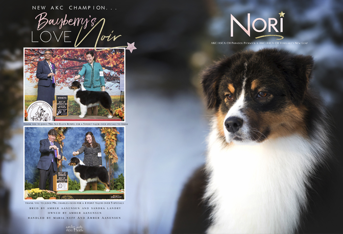 Bayberry's Love Noir "Nori"